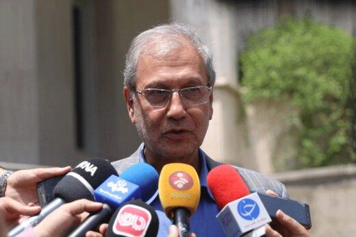 علی ربیعی,اخبار سیاسی,خبرهای سیاسی,دولت