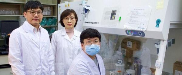 تهیه نقشه ژنوم ویروس کرونا تهیه نقشه ژنوم ویروس کرونا,اخبار پزشکی,خبرهای پزشکی,تازه های پزشکی