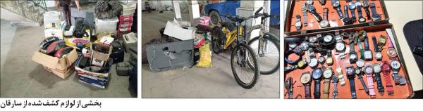 دستگیری عاملان سرقت,اخبار حوادث,خبرهای حوادث,جرم و جنایت