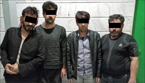 دستگیری عاملان سرقت,اخبار حوادث,خبرهای حوادث,جرم و جنایت