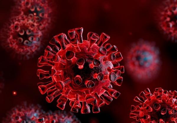 ویروس جدید کووید 19,اخبار پزشکی,خبرهای پزشکی,بهداشت