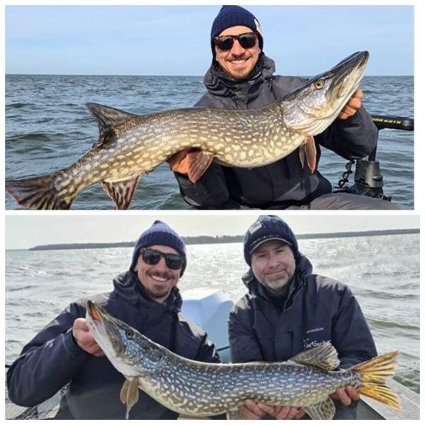 زلاتان ابراهیموویچ زلاتان ابراهیموویچ,اخبار فوتبال,خبرهای فوتبال,اخبار فوتبالیست ها