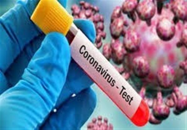 ویروس کرونا ویروس کرونا,اخبار پزشکی,خبرهای پزشکی,بهداشت