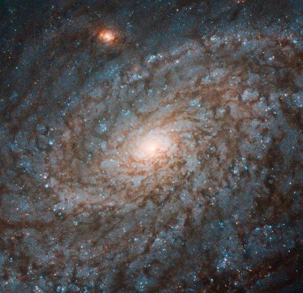 شباهت یک کهکشان مارپیچی به پنبه,اخبار علمی,خبرهای علمی,نجوم و فضا