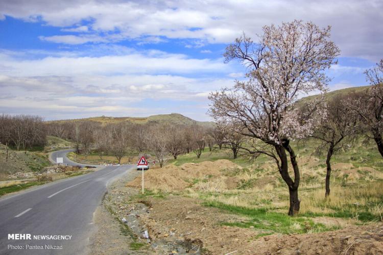 رد پای بهار در چهارمحال و بختیاری,عکس های بهاری چهارمحال و بختیاری,تصاویری از بهار در چهارمحال و بختیاری