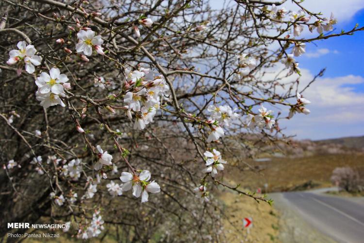 رد پای بهار در چهارمحال و بختیاری,عکس های بهاری چهارمحال و بختیاری,تصاویری از بهار در چهارمحال و بختیاری