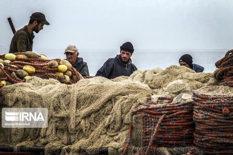 تصاویر صید ماهیان استخوانی,عکس های صیادان در استان گیلان,تصاویر دریای خرز