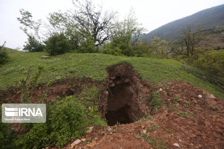 تصاویر جستجوی گنج در جنگل‌های هیرکانی,عکس های جستجو گنج در جنگل,عکس های جنگل های هیرکانی