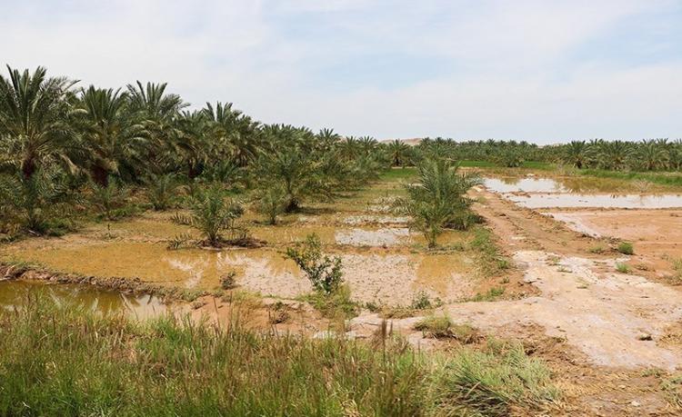 تصاویر خسارات سیل در روستای کرمان تصاویر خسارات سیل در روستای کرمان,عکس های خسارات سیل در روستای کرمان,تصاویر روستای کرمان