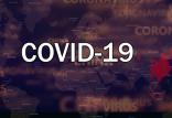 بیماری کووید- ۱۹,اخبار پزشکی,خبرهای پزشکی,بهداشت