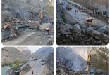 جاده چالوس,اخبار حوادث,خبرهای حوادث,حوادث