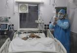 مرگ پزشکان به دلیل کرونا,اخبار پزشکی,خبرهای پزشکی,بهداشت