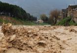 سیل فروردین 99 در ایران,اخبار اجتماعی,خبرهای اجتماعی,شهر و روستا