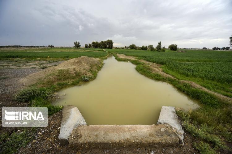 تصاویر فصل بهار در سیستان و بلوچستان,عکس های فصل بهار در سیستان و بلوچستان,تصاویر فصل بهار