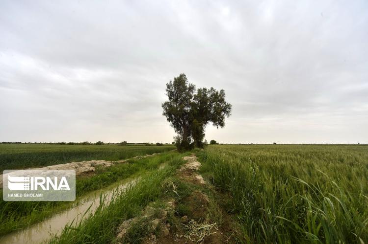 تصاویر فصل بهار در سیستان و بلوچستان,عکس های فصل بهار در سیستان و بلوچستان,تصاویر فصل بهار