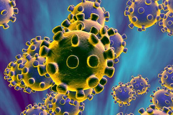 چاقی و شدت ابتلا به بیماری کرونا چاقی و شدت ابتلا به بیماری کرونا