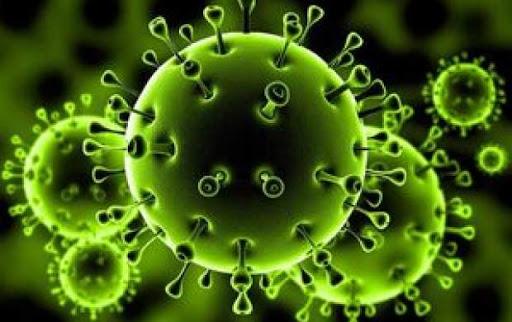 ویروس کرونا,اخبار پزشکی,خبرهای پزشکی,بهداشت