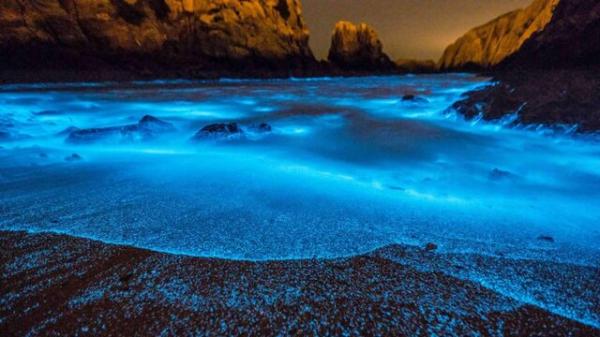 نور آبی در ساحل,اخبار علمی,خبرهای علمی,طبیعت و محیط زیست