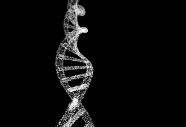 ژن برای تنظیم سطح کلسترول,اخبار پزشکی,خبرهای پزشکی,تازه های پزشکی