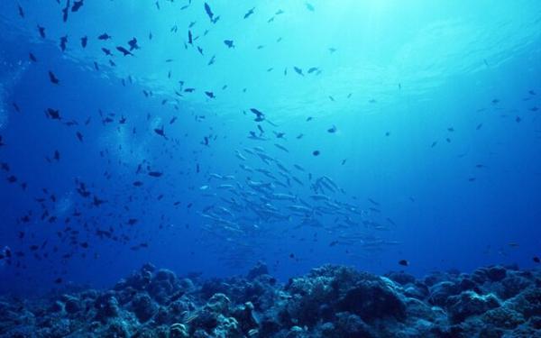 افزایش سطح آب دریاها,اخبار علمی,خبرهای علمی,طبیعت و محیط زیست