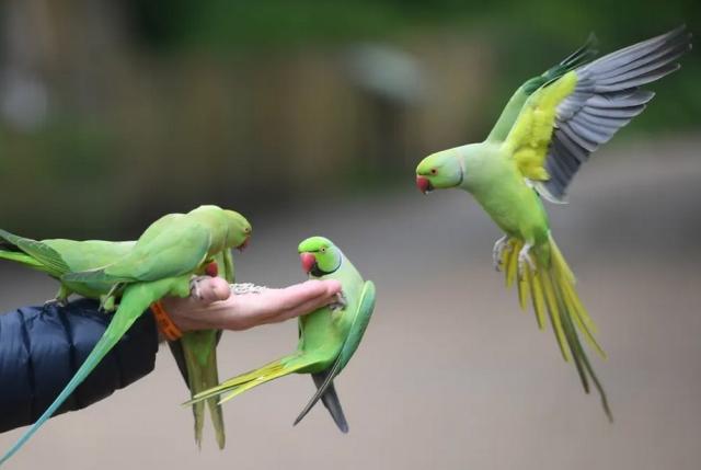 تصاویر روز شانزدهم اردیبهشت 99,عکس های دیدنی 16 اردیبهشت 99,تصاویر روز 5 می 2020