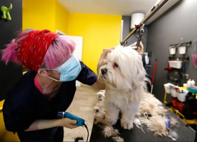 تصاویر روز شانزدهم اردیبهشت 99,عکس های دیدنی 16 اردیبهشت 99,تصاویر روز 5 می 2020