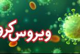ویروس کرونا,اخبار پزشکی,خبرهای پزشکی,بهداشت