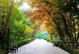 بازگشایی بوستان‌های تهران,اخبار اجتماعی,خبرهای اجتماعی,شهر و روستا