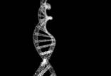 ژن برای تنظیم سطح کلسترول,اخبار پزشکی,خبرهای پزشکی,تازه های پزشکی