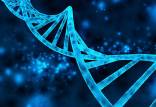 فناوری جدید برای تنظیم فعالیت ژنتیکی,اخبار پزشکی,خبرهای پزشکی,تازه های پزشکی