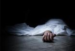 حمله گاو وحشی به یک دختر در ایوان,اخبار حوادث,خبرهای حوادث,حوادث امروز