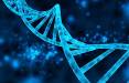 فناوری جدید برای تنظیم فعالیت ژنتیکی,اخبار پزشکی,خبرهای پزشکی,تازه های پزشکی