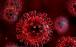 ویروس کرونا در اسپرم,اخبار پزشکی,خبرهای پزشکی,تازه های پزشکی