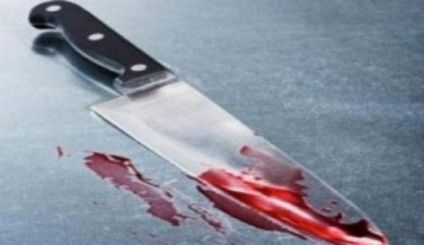 سردار حسین رحیمی فرمانده انتظامی پایتخت,اخبار حوادث,خبرهای حوادث,جرم و جنایت