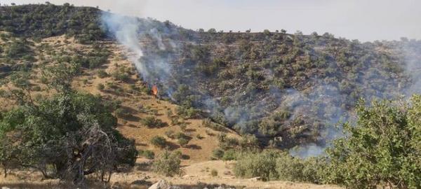 آتش سوزی منطقه حفاظت شده خائیز کهگیلویه,اخبار اجتماعی,خبرهای اجتماعی,محیط زیست