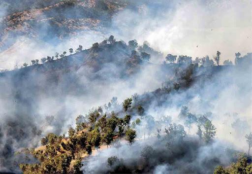 آتش گرفتن جنگل های خاییز,اخبار اجتماعی,خبرهای اجتماعی,محیط زیست