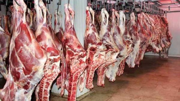 افزایش قیمت گوشت گوساله,اخبار اقتصادی,خبرهای اقتصادی,کشت و دام و صنعت