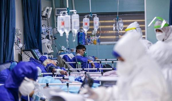 بستری 244 بیمار جدید کرونا در تهران/ فوت اولین مادر باردار مبتلا به کرونا در شهرستان ایرانشهر