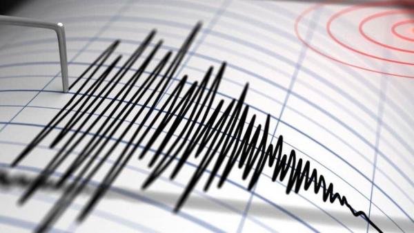 زلزله در فارس,اخبار حوادث,خبرهای حوادث,حوادث طبیعی