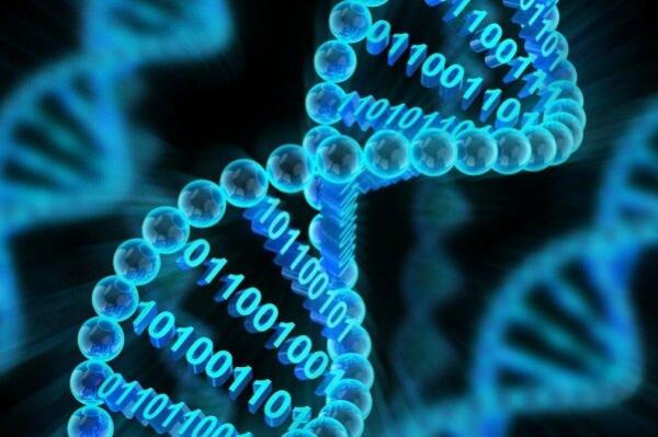 ذخیره اطلاعات DNA مصنوعی,اخبار پزشکی,خبرهای پزشکی,تازه های پزشکی