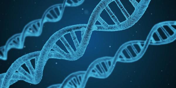 خطر ژن معیوب مرتبط با زوال عقل برای ابتلا به کرونا,اخبار پزشکی,خبرهای پزشکی,تازه های پزشکی