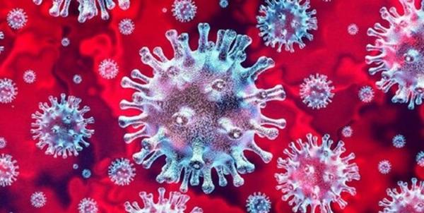 درمان ویروس کرونا با نوعی پروتئین از کنه,اخبار پزشکی,خبرهای پزشکی,تازه های پزشکی