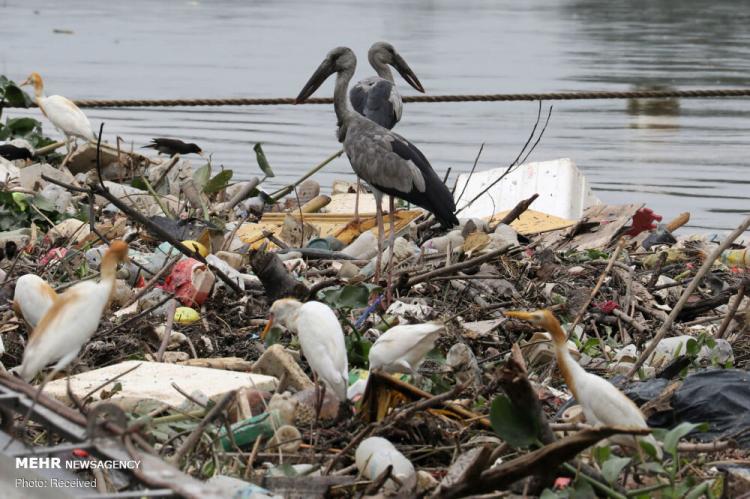 تصاویر آلوده شدن کره زمین با پلاستیک,عکسهای زباله های در محیط زیست,تصاویر زباله های پلاستیکی