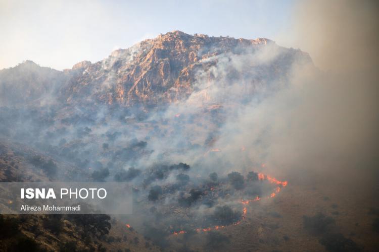 تصاویر آتش سوزی در خائیز,عکس جنگل های خائیز,تصاویری از آتش گرفتن جنگل ها در خائیز