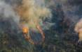 آتش سوزی جنگل های ایران,اخبار اجتماعی,خبرهای اجتماعی,محیط زیست