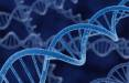 ذخیره اطلاعات DNA مصنوعی,اخبار پزشکی,خبرهای پزشکی,تازه های پزشکی