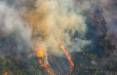 آتش‌سوزی در جنگل‌های گچساران,اخبار اجتماعی,خبرهای اجتماعی,محیط زیست