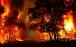 آتش‌سوزی در جنگل‌های گچساران,اخبار اجتماعی,خبرهای اجتماعی,محیط زیست