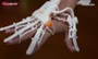 فیلم/ ساخت دستکش رباتیک برای کمک به توانبخشی بیماران