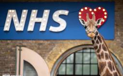 تصاویر منتخب حیات وحش هفته,عکس حیوانات,تصاویری از حیات وحش